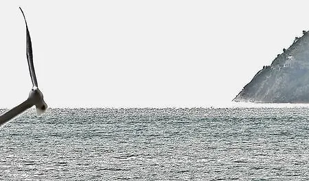 Badano Sul Mare Hotell